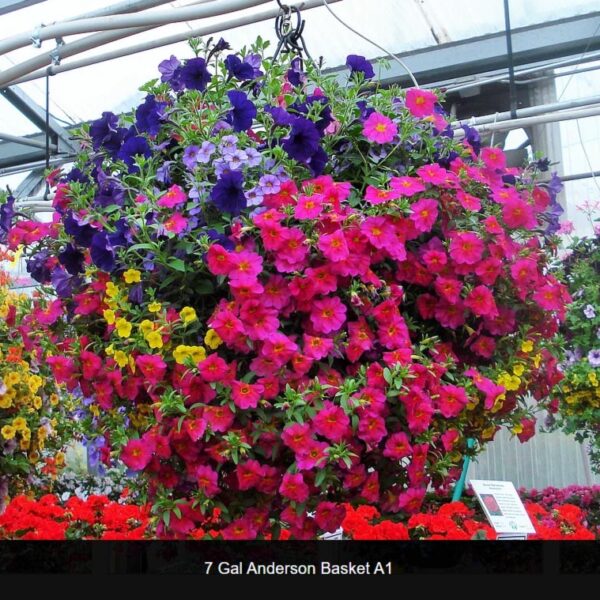 Delaney's Custom Flower Baskets Delaney's Landscape Center