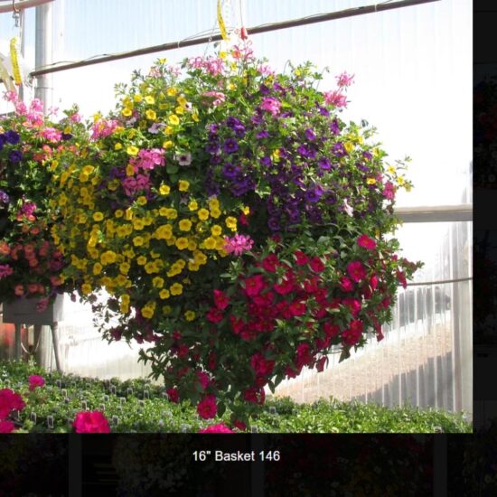 16 inch moss flower basket-146