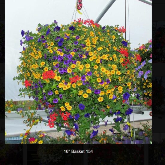 16 inch moss flower basket-154