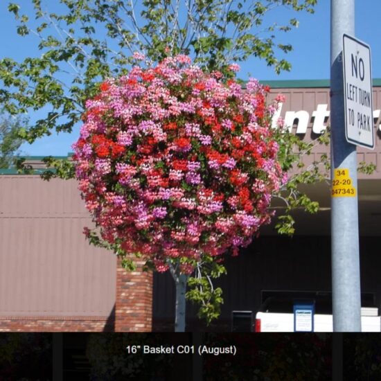 16 inch moss flower basket-c01