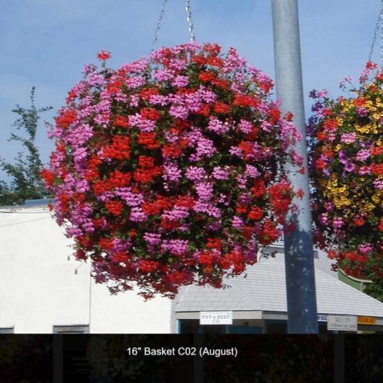 16 inch moss flower basket-c02