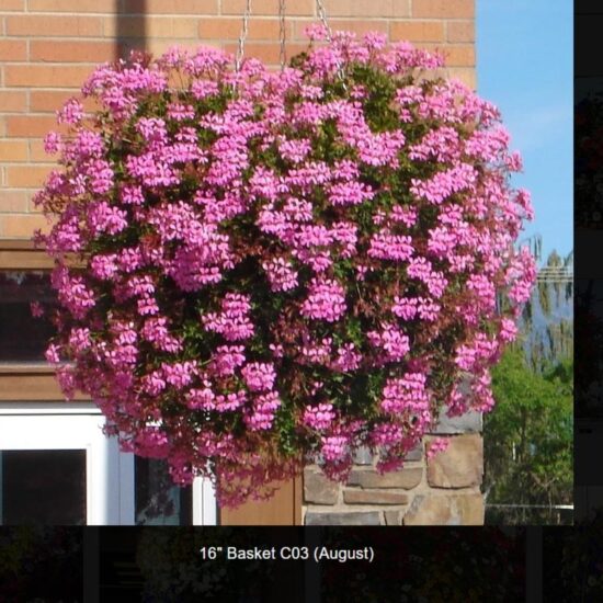 16 inch moss flower basket-c03