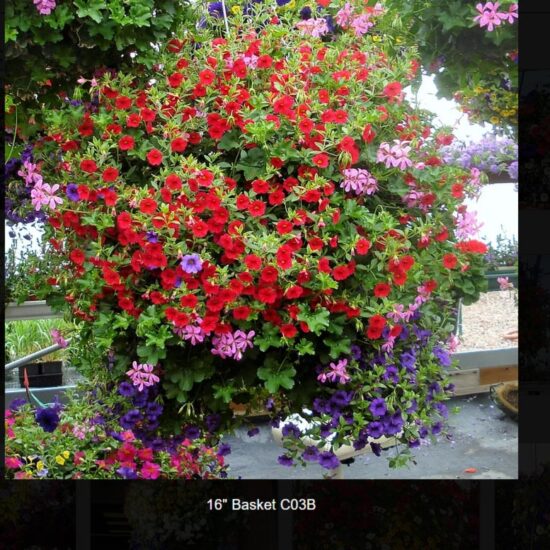 16 inch moss flower basket-c03b