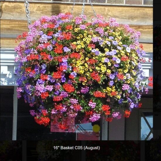 16 inch moss flower basket-c05