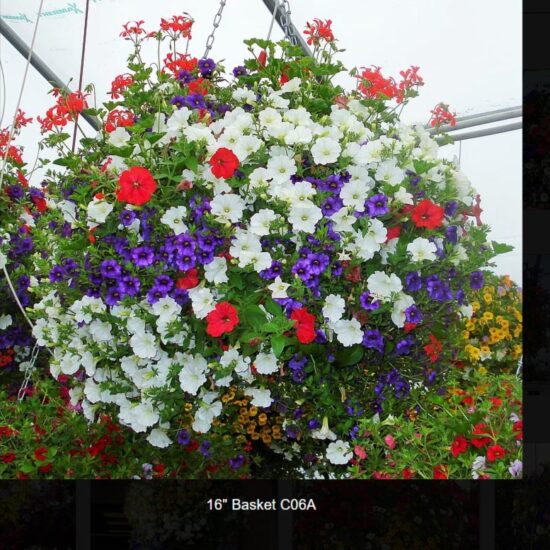 16 inch moss flower basket-c06a