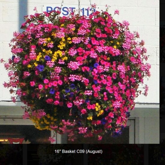 16 inch moss flower basket-c09