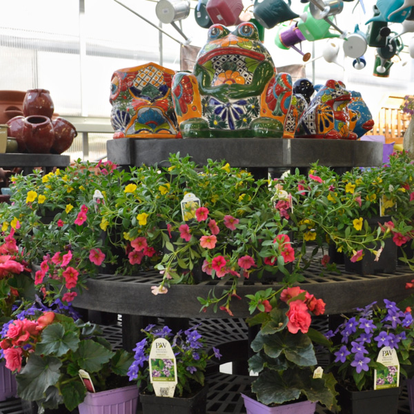 The Garden Center Delaney's Landscape Center