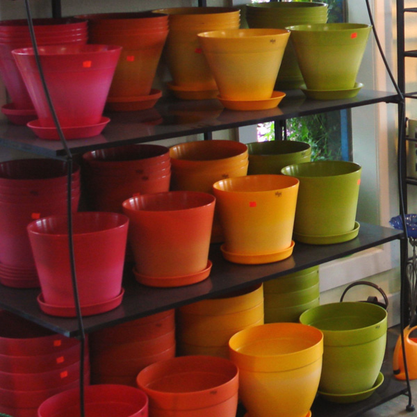 Our Nursery Delaney's Landscape Center