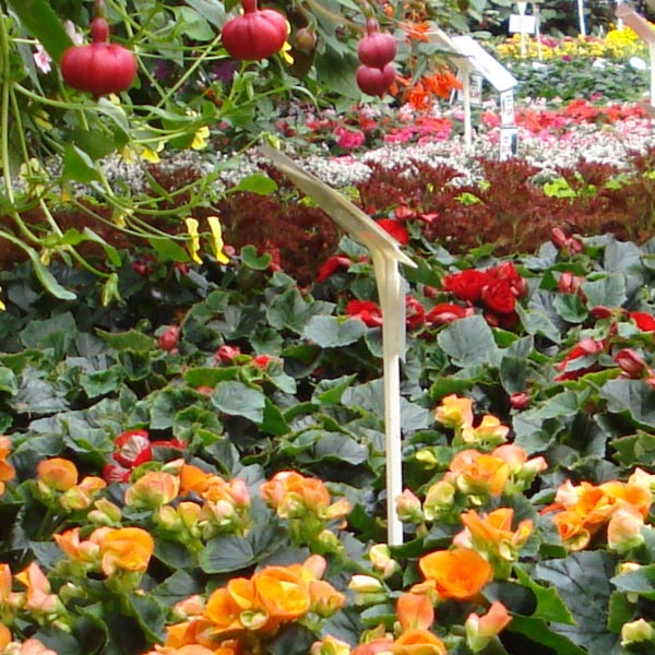 Greenhouse Delaney's Landscape Center