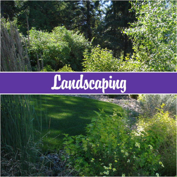 Services Delaney's Landscape Center