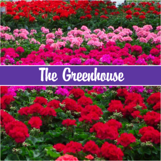 Plants Are Our Business Delaney's Landscape Center