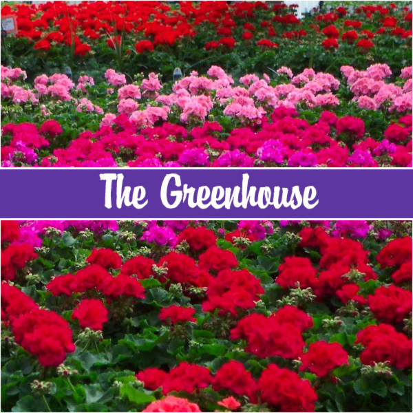 Plants Are Our Business Delaney's Landscape Center